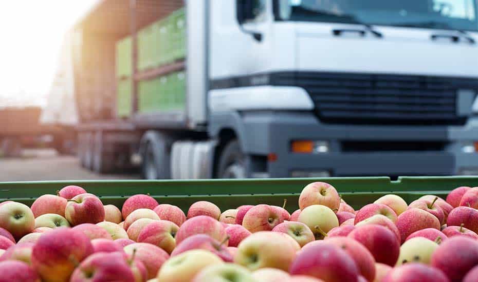 How To Find The Best Wholesale Food Supplier Terra Madre